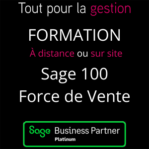 produit-formation-sage-100-force de vente