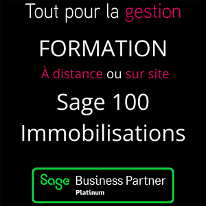 produit-formation-sage-100-immobilisations-tout-pour-la-gestion