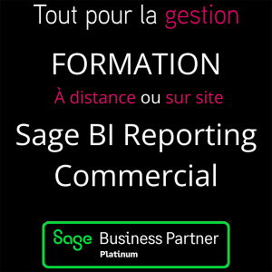 produit-formation-sage-BI-reporting-commercial