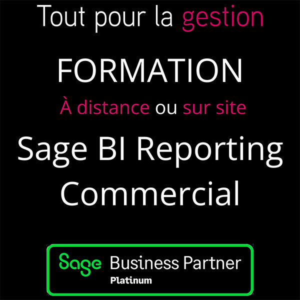 Formation Sage BI Reporting Commercial