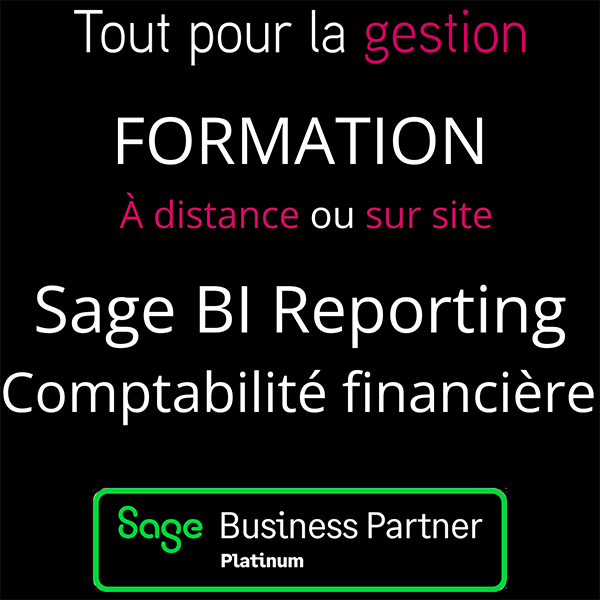 Formation SAGE BI Reporting Comptabilité financière