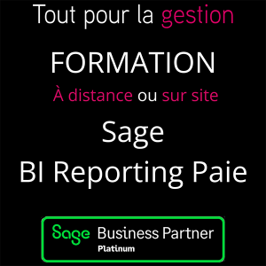 produit-formation-sage-BI-reporting-paie-tout-pour-la-gestion