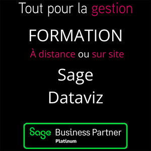 produit-formation-sage-50-dataviz-tout-pour-la-gestion