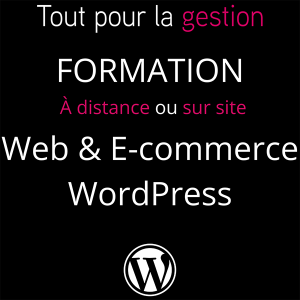 produit-formation-wordpress-tout-pour-la-gestion