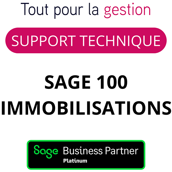 Support Sage 100 Immobilisations Assistance technique