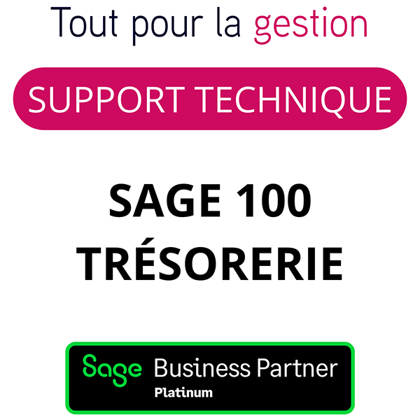 Support Sage 100 Trésorerie Assistance technique