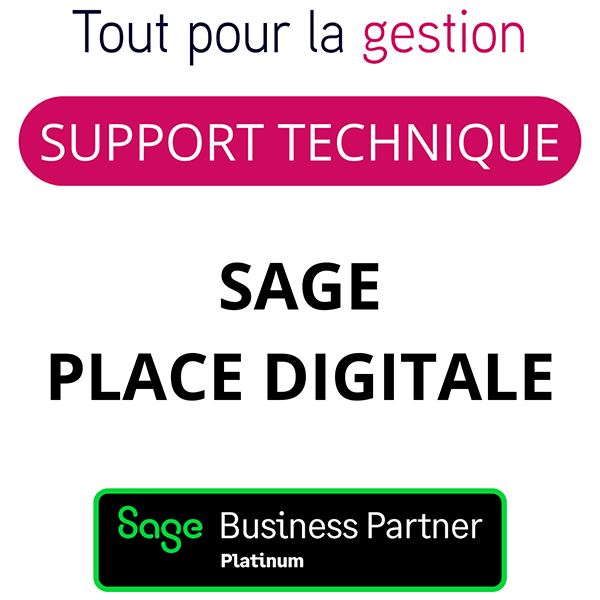 Support Sage Place Digitale Démat RH Assistance technique